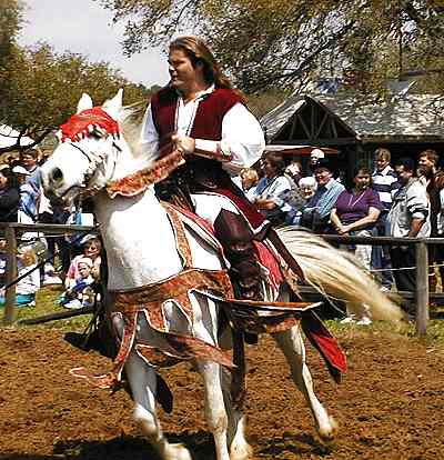A Pic of a Jouster on a White horse
