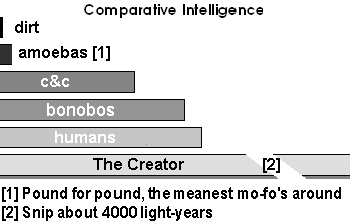 a graph of intelligence, from dumb as dirt to the Creator