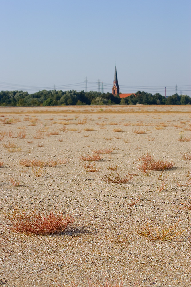 Hamburg, Altenwerder