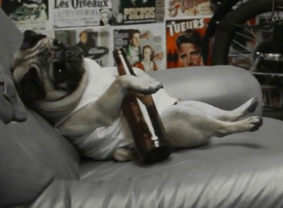 Rude husband turns into pug in the new Bankrupt video