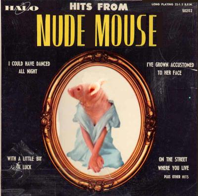 Enter the Nude Mouse