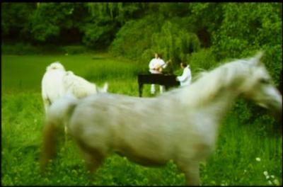 Richard von der Schulenburg with white horses