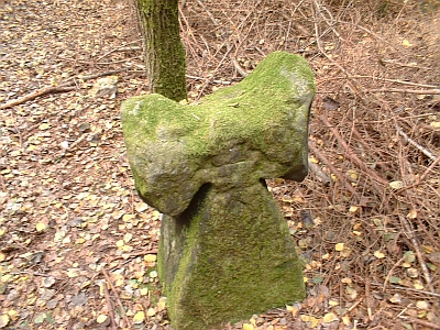 Antoniuskreuz bei Mühlsdorf