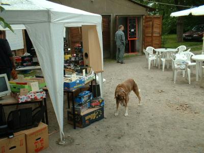 Gästegarten in Wachwitz