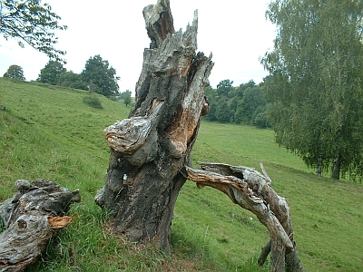 Frühgeschichtliche Wallanlage am Keilbusch