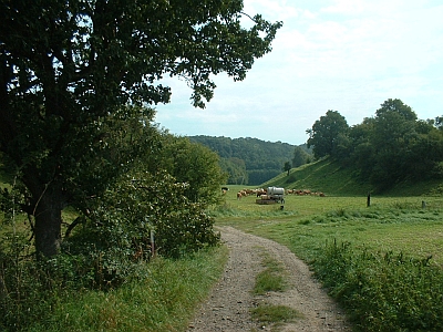 Weg vom Keilbusch nach Schieritz