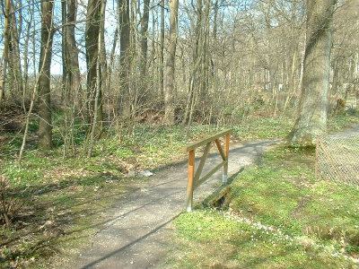 Teich und Kleingärten am Wanderweg Pulsnitz - Keulenberg