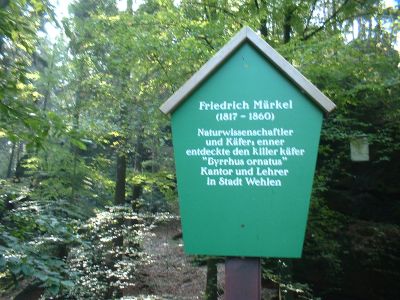 Uttewalder Grund, Tafel für Friedrich Märkel Käferforscher