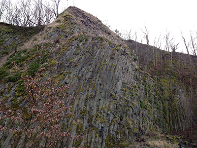 ehemaliger Vulkankrater auf dem Wilisch mit Basaltsäulen