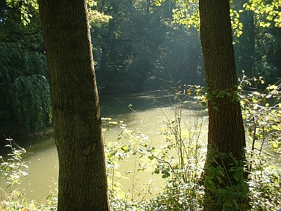 Niederjahna, Teich im Park