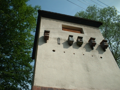 Trafohäuschen mit Vogelkästen in Langenwolmsdorf