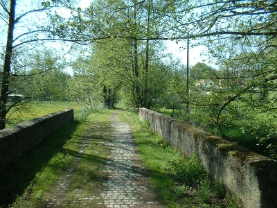 Brücke über die Wesenitz bei Bühlau