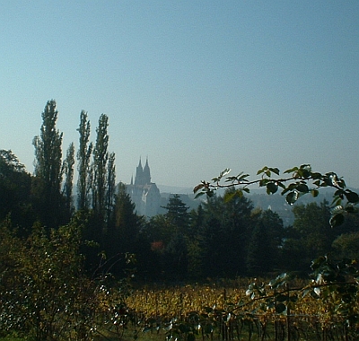 Blick von Proschwitz auf die Albrechtsburg Meißen, Herbst