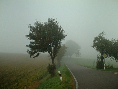 Straße von Roitzschen nach Krögis (Lommatzscher Pflege) im Herbstnebel
<br/><br/>

<br/><br/>

<br/><br/>

<br/><br/>

<br/><br/>
