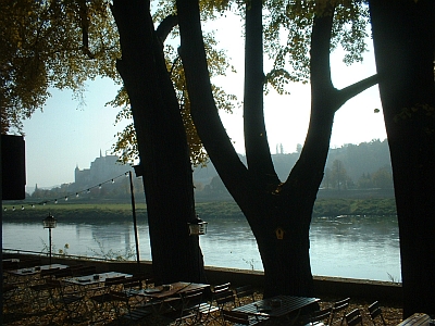 Meißen, Blick von der Knorre auf die Albrechtsburg im Oktober