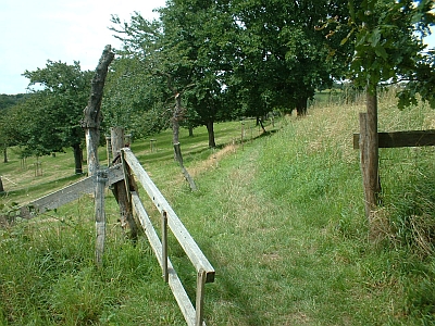 Weg von der Zschoner Mühle nach Podemus