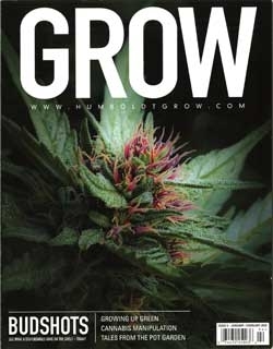 Marijuana a growth industry for California mag publishers