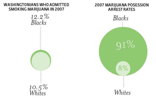 Marijuana Arrests