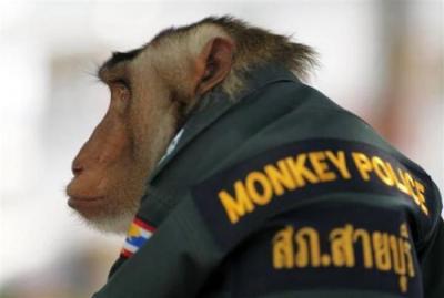 Monkey Police