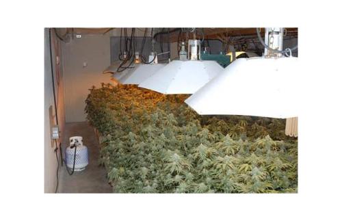 Multimillion-dollar marijuana grow op found in Okanagan