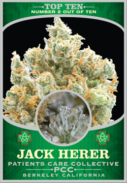 Pot Trading Cards
