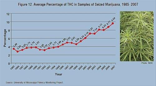 THC Percentages